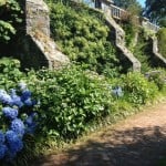 hydrangea path 2