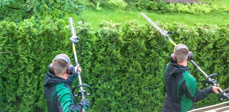 After comparing 19 models, we have narrowed down the best long reach hedge trimmers to just 5 models worth considering. Read our reviews now.