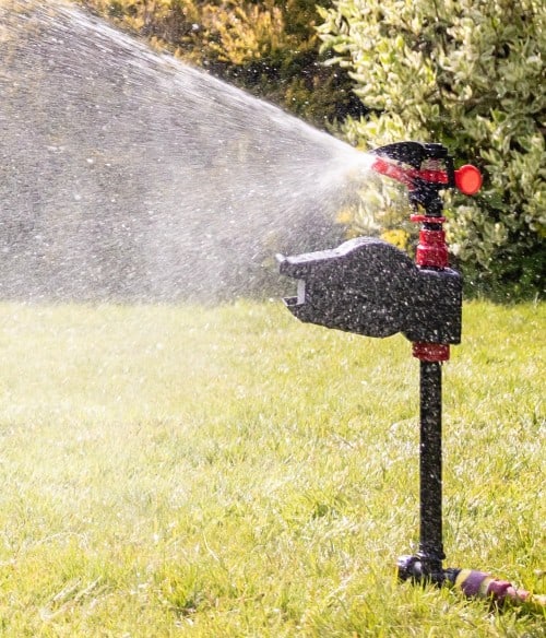 Another option to keep cats off your garden is by using the Pestbye Jet Spray Battery Cat Scarer. This model just needs to be connected to a hose with the included fixtures to release a 5 second shot of water that will send the cat fleeing as they certainly don't like being sprayed with water.