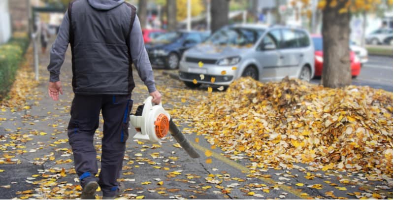 Best Petrol Leaf Blower Reviews - Comparison of the top 5 models