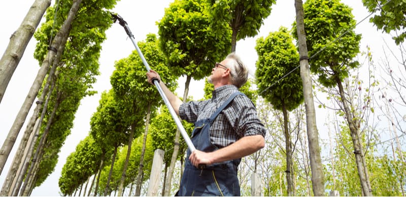 In this comparison, we compared 5 of the best telescopic tree pruners, with some innovative new models you have got to compare these models now.