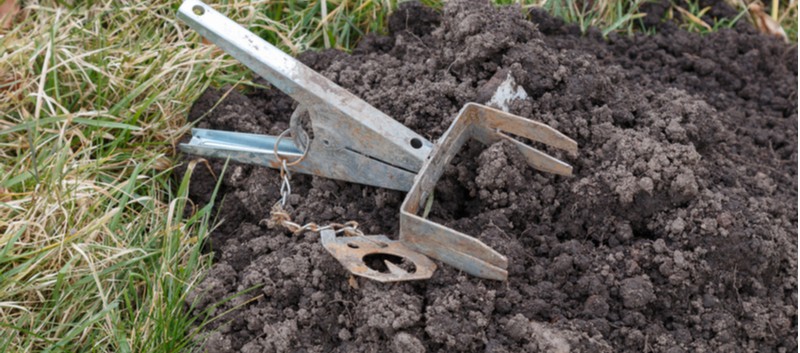 Best mole trap - Looking for the best mole trap, not every trap is right for all situation so we compared each trap to see whether it's worth using and when.