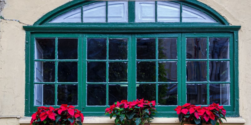 Can poinsettias be outside?
