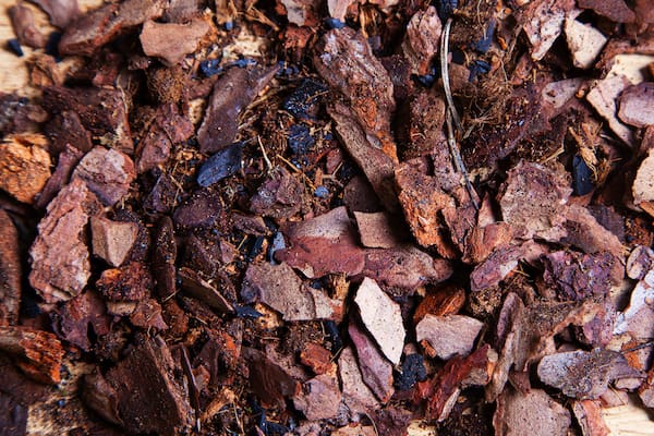 Orchid compost for repotting orchids contains alot of bark